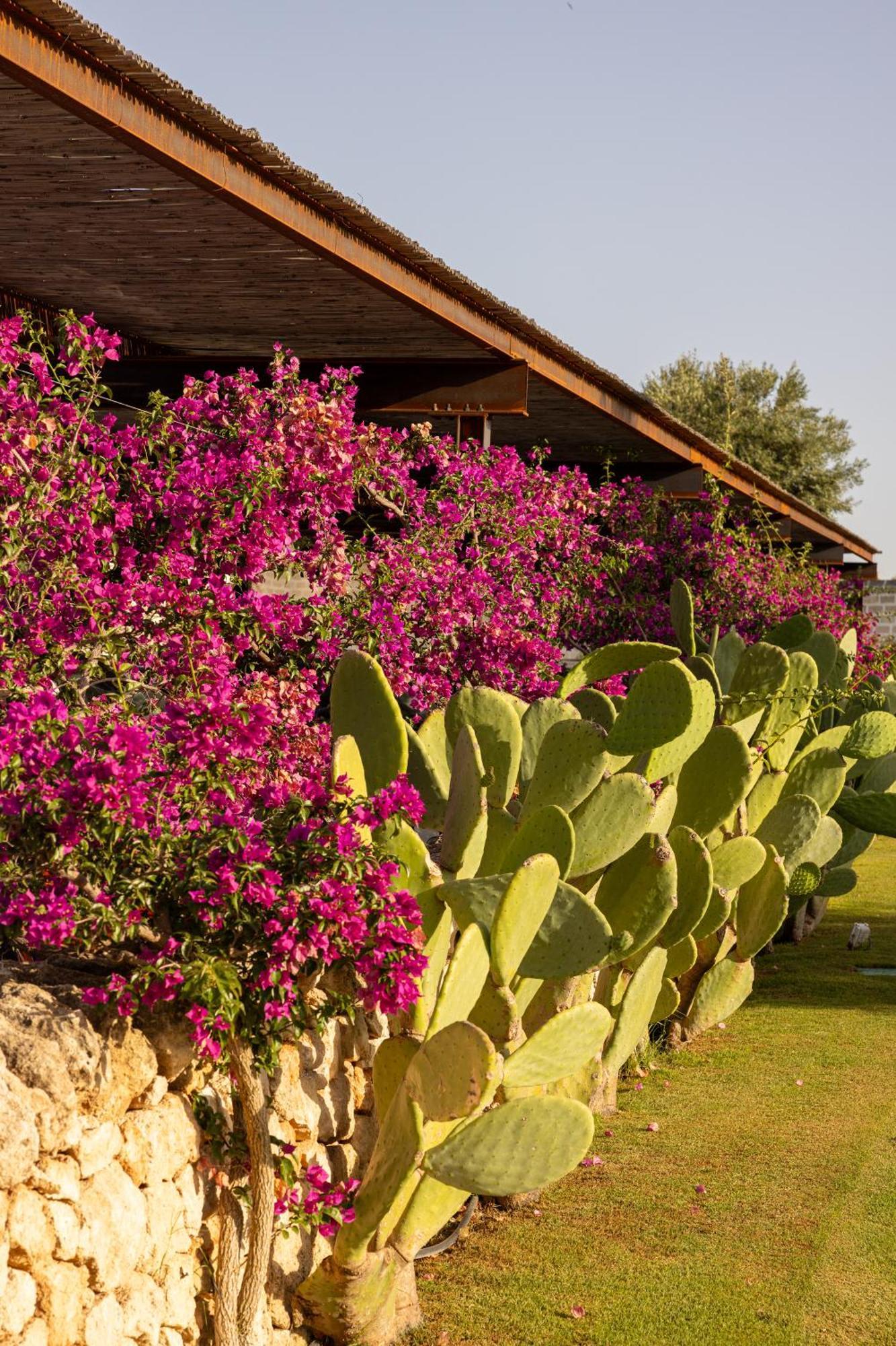 Masseria San Francesco Савеллетри Экстерьер фото