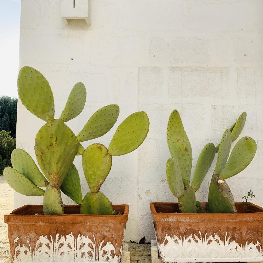 Masseria San Francesco Савеллетри Экстерьер фото